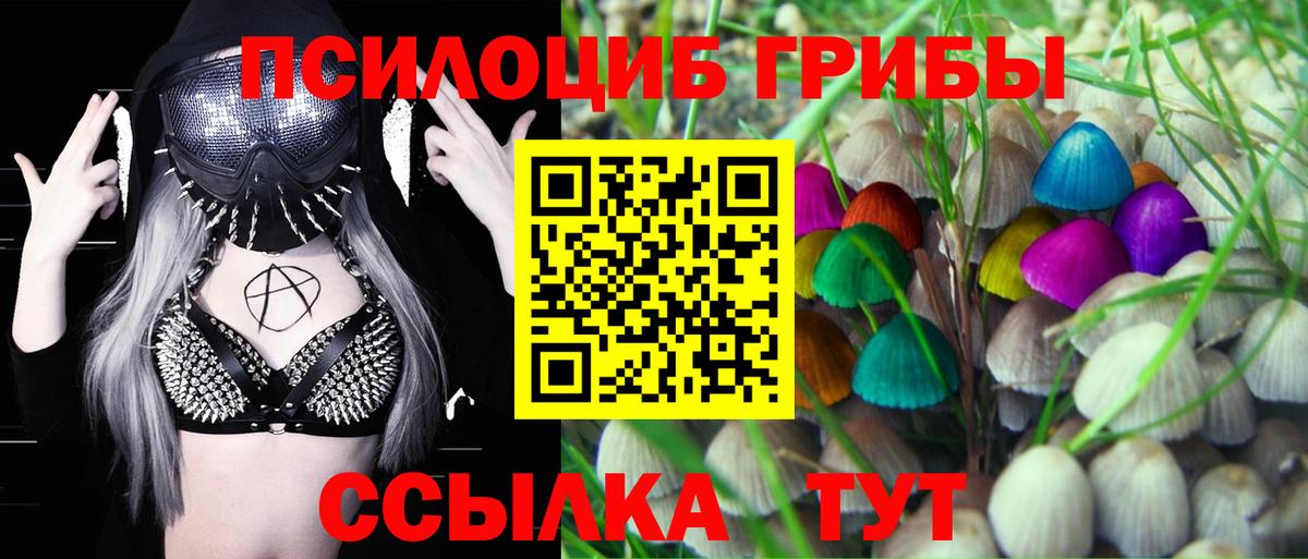 Псилоцибиновые грибы мицелий Бийск