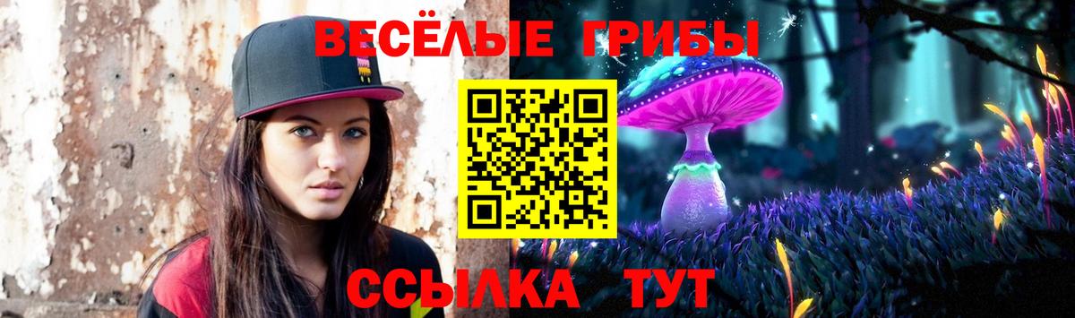 наркошоп  Псилоцибиновые грибы Psilocybe  Бийск  Псилоцибиновые грибы Magic Shrooms 