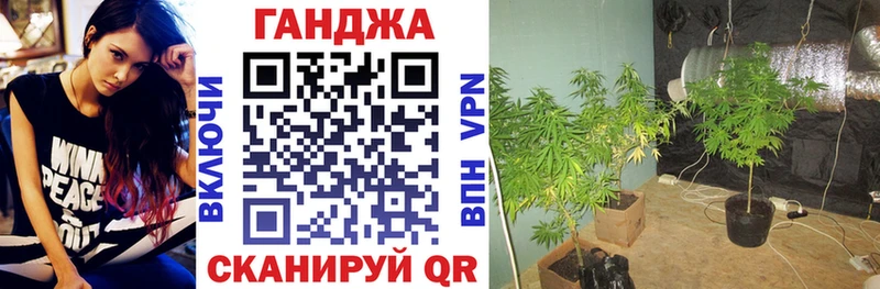Бошки марихуана сатива  mega ТОР  Бийск 